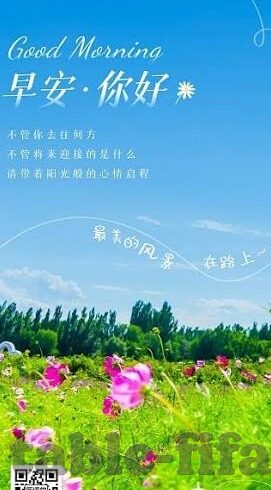 女足世界杯金杯名字-女足世界杯金杯名字，荣耀与传承的符号