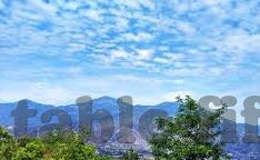 世界杯球星马什么-世界杯球星马内,速度与技术并重的传奇